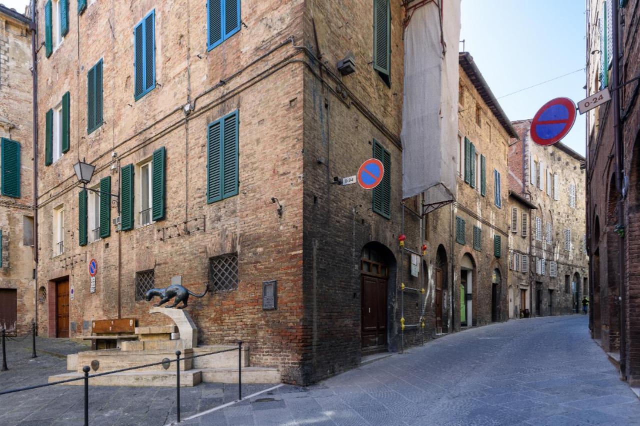 Piazza Paradiso Accommodation Siena Eksteriør bilde